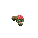 https://talestavern.com/wp-content/uploads/2021/06/cactus-round-group.png