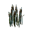 https://talestavern.com/wp-content/uploads/2021/06/swamp-reed-01.png