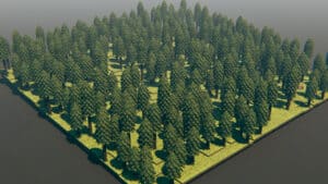 https://talestavern.com/wp-content/uploads/2022/05/Forest-2-2.jpg
