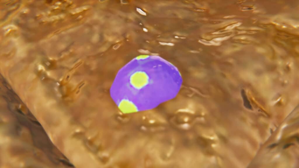 Cosmic Brownies Tales Tavern