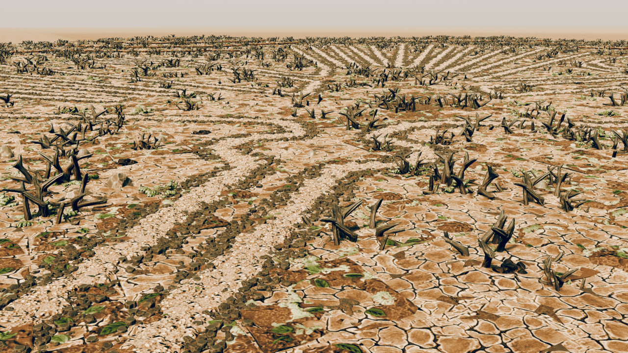 Nazca Condor Geoglyph Tales Tavern