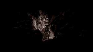 https://talestavern.com/wp-content/uploads/2025/05/TS_1710532201.png