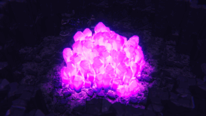 https://talestavern.com/wp-content/uploads/2026/06/TS_1781953034.png